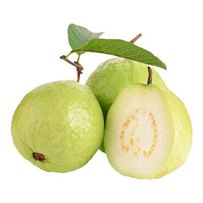 现摘珍珠白心脆芭乐【下单立减】