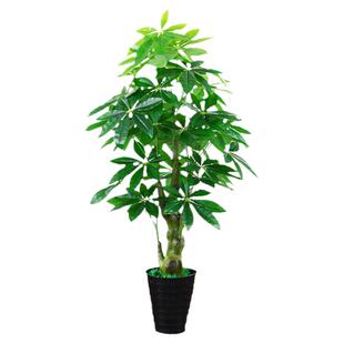假仿真绿植发财树大型植物室内盆栽塑料花盆景落地办公室招财