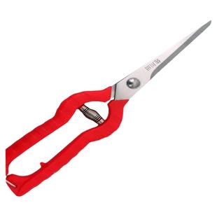 园艺剪刀花木修枝剪子家用修花剪刀果树修枝剪花卉多肉芽叶剪工具