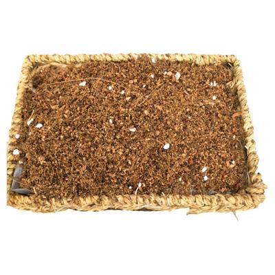 仙人掌沙漠玫瑰多肉类耐热专用土