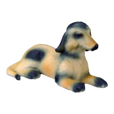 【88174小阿富汗猎犬】CollectA官方授权正版动物模型早教玩具