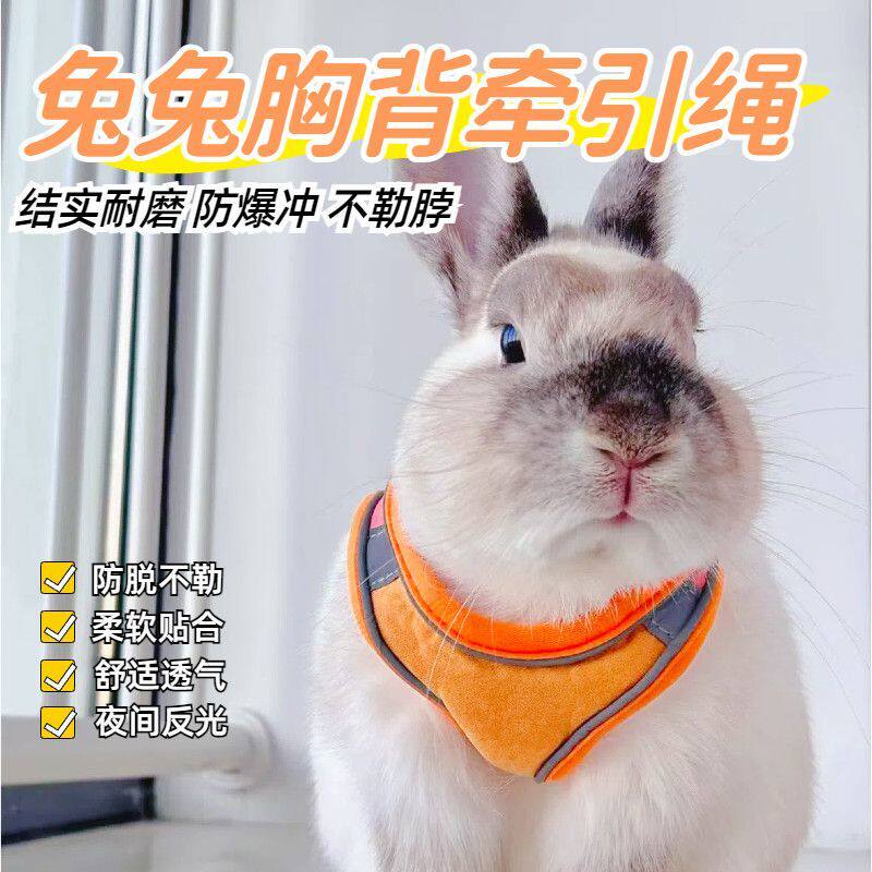 小型犬猫咪专用防挣脱牵引绳溜猫胸背带兔子狗狗外出牵遛绳