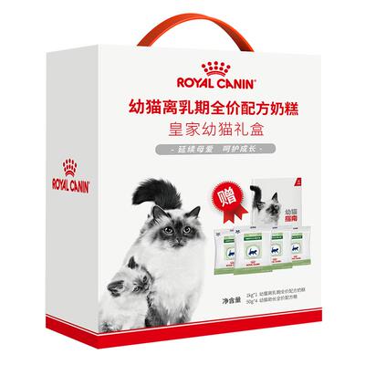 皇家离乳期奶糕猫猫繁育