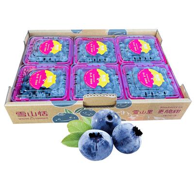 雪山恬蓝莓云南雪山蓝莓