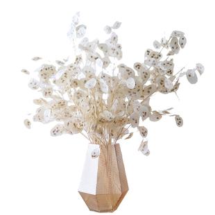 天然银扇叶花束插花进口干花果ins家居门店软装配饰开业乔迁送花