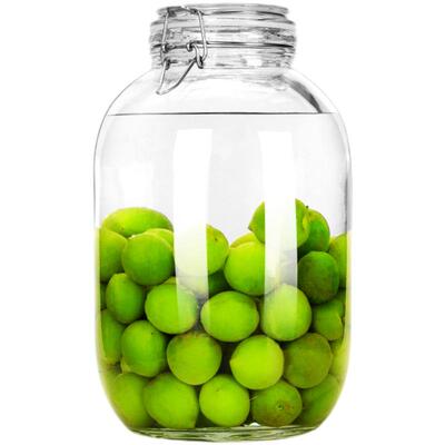 玻璃泡酒瓶带盖酒坛子加厚