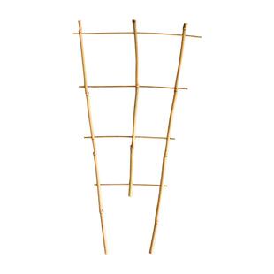 花架爬藤架植物攀爬架支撑杆支架爬藤杆月季铁线莲蔷薇玫瑰牵牛花