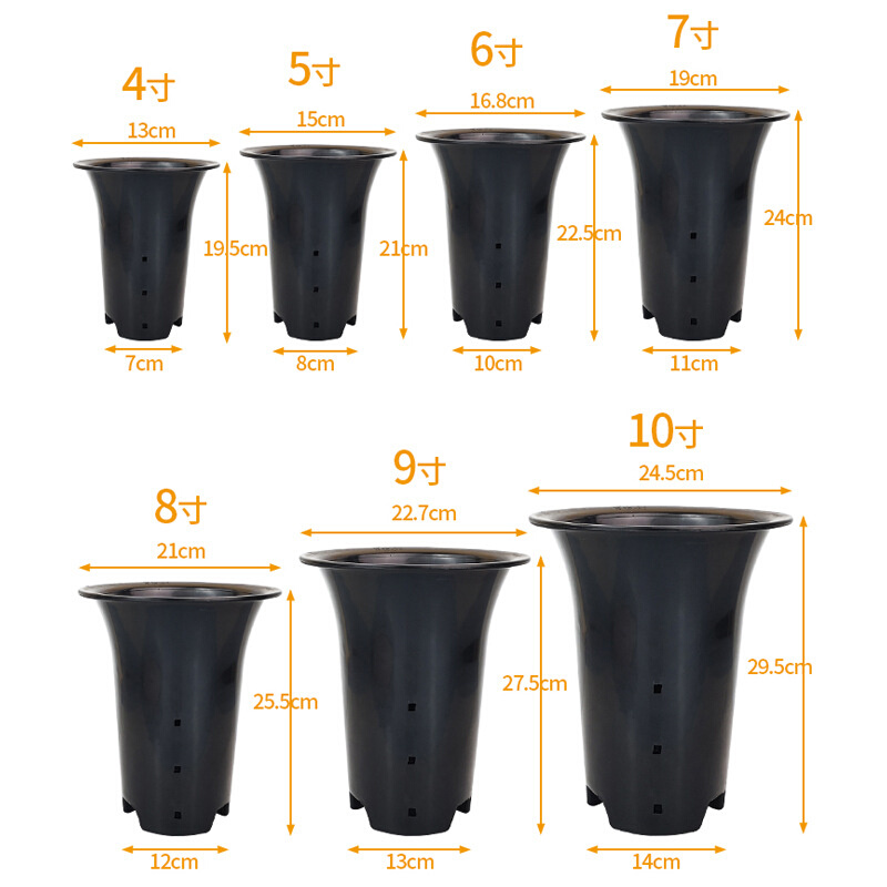 新款墨兰君子兰花花盆塑料加厚特大号黑色透明专用土花盆厂家直销