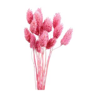 宝石草干花包混搭花束美人草兔尾草天然风干花桌面装饰花摄影道具