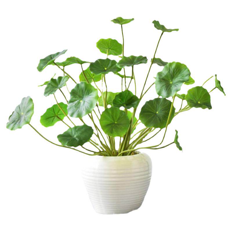 仿真铜钱草装饰品餐厅绿植假花
