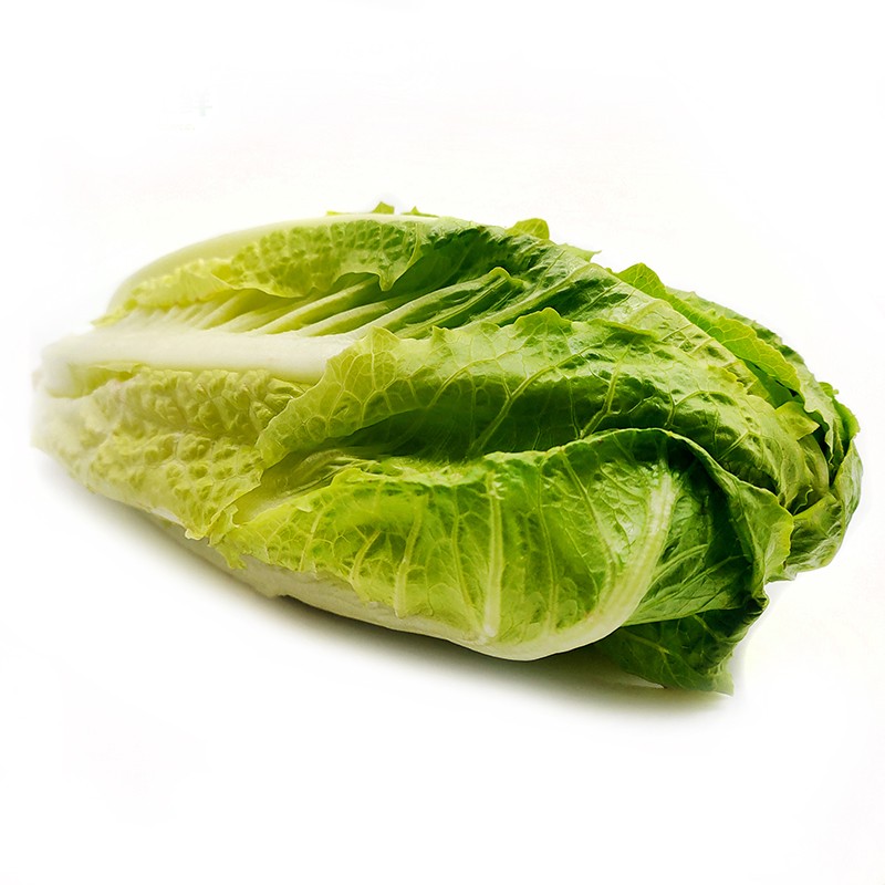新鲜包罗心/罗纹 罗马生菜心 500g 新鲜沙拉蔬菜 西餐素食配菜