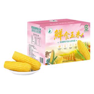 稻宝昌 甜糯玉米棒非转基因真空装 10穗2200g