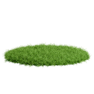 草皮真草坪带泥土绿化百慕大马尼拉草坪地毯草别墅庭院花园台湾草