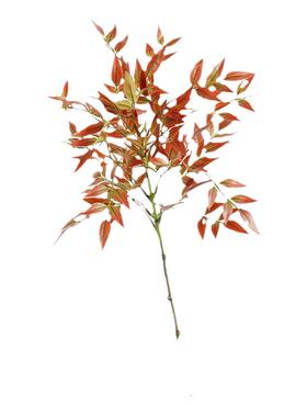 南天竹仿真花绿植客厅新中式插花