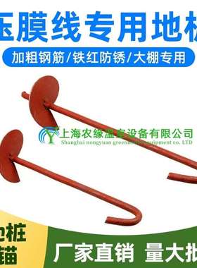 蔬菜温室大棚骨架配件螺旋地桩防风防锈红色地钩固定地锚拉压膜线