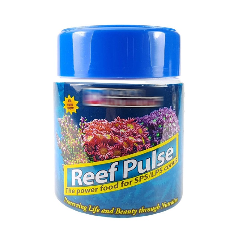 美国海洋脑类海葵混合珊瑚粮