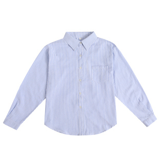 蓝白竖条纹衬衫女长袖休闲百搭时尚新款设计衬衣宽松气质外穿上衣