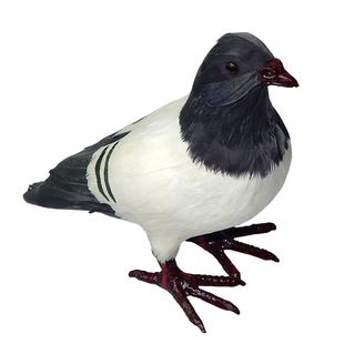 仿真鸽子摆件假鸽子玩偶婚庆装饰动物鸽子模型鸟类和平鸽标本道具