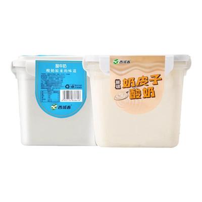 新疆西域春桶装酸奶2斤X2桶