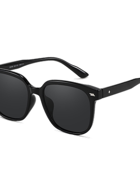 大框墨镜女款2024新款高级感偏光