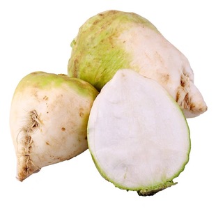 芥菜疙瘩嘎子辣菜山西临汾做熏菜酸菜腌咸菜的原料大头菜现挖现发