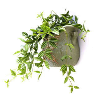 壁挂式花盆大号挂墙盆水培户外复古简约创意个性垂吊墙大口径绿萝