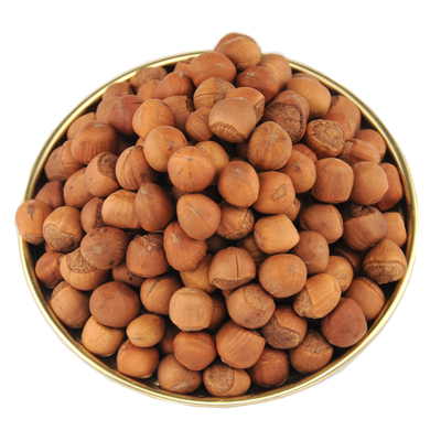 东北小榛子薄皮开口铁岭榛子