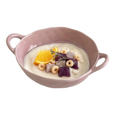 ins风高颜值陶瓷酸奶碗