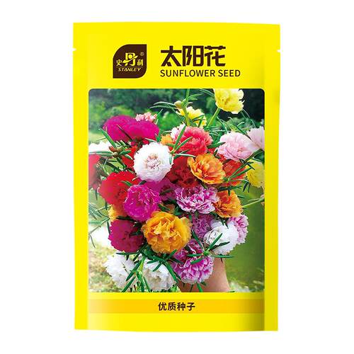 史丹利重瓣太阳花种子花籽种子室内盆栽种植花籽易活开花混色种孑