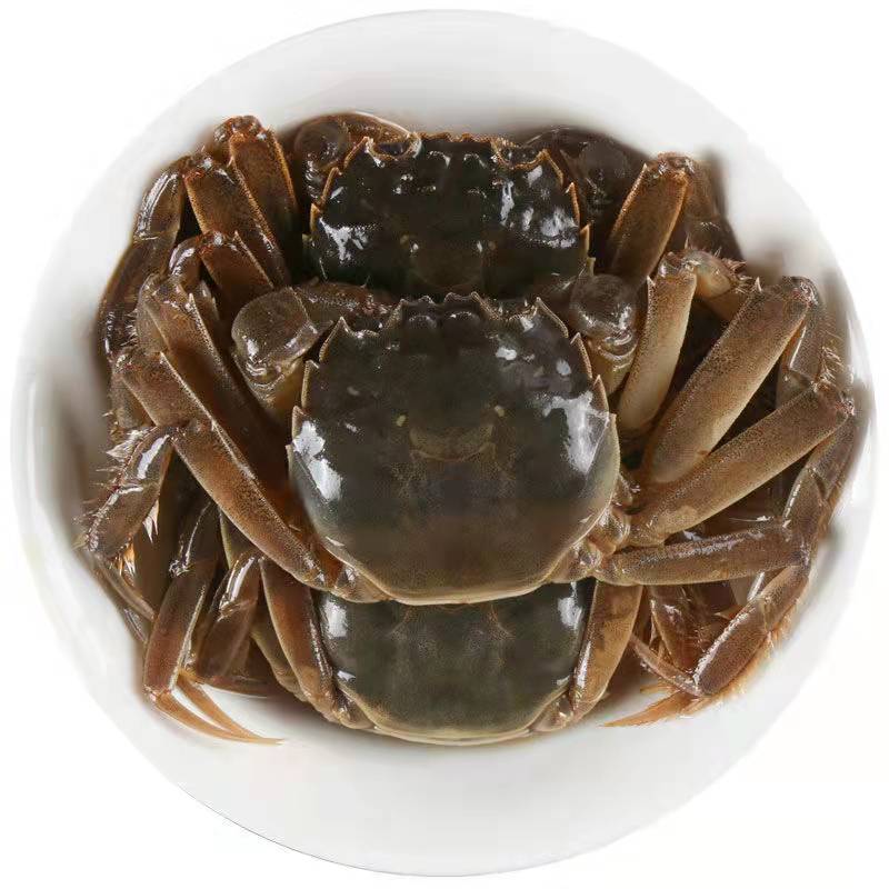 十只装-秘制熟醉蟹生醉蟹即食鲜活虾