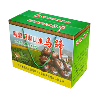 马蹄荸荠新鲜大果应季即食水果清甜现挖带泥粤北韶关乳源农家特产