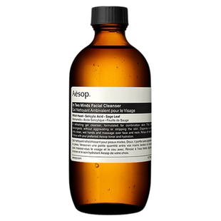 【海外店】Aesop伊索 二重奏洁面露 清爽平衡细致洁净温和洗面奶