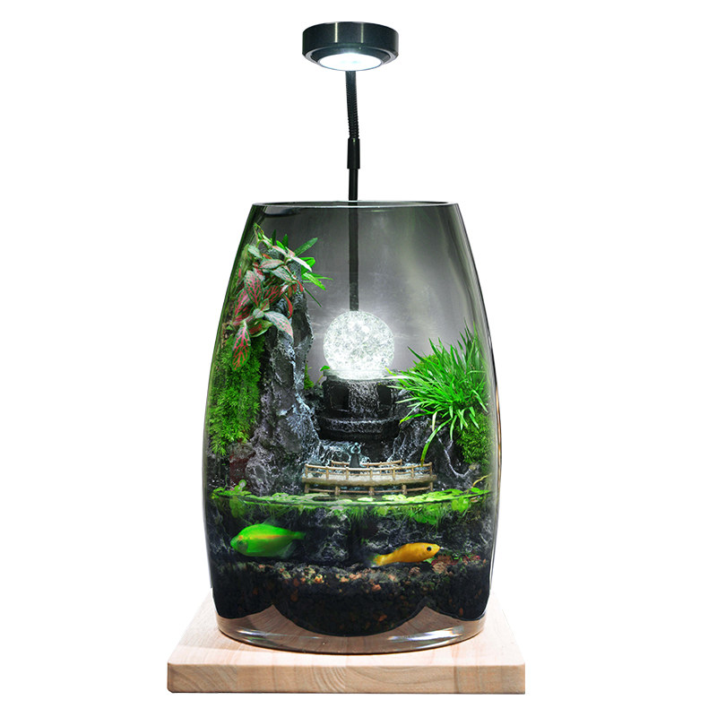 丘辰流水款真植物顺丰包邮