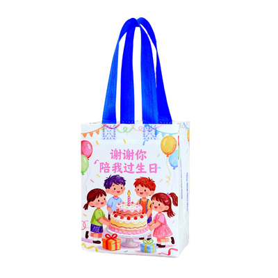 生日伴手礼品袋幼儿园宝宝生日周岁卡通儿童礼物袋手提无纺布袋