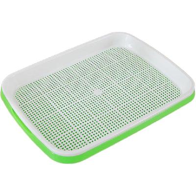 四季吃新鲜豆芽全自动豆芽发芽