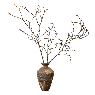 玉兰干枝干树枝侘寂风花瓶插花天然干花花束客厅酒店民宿软装装饰