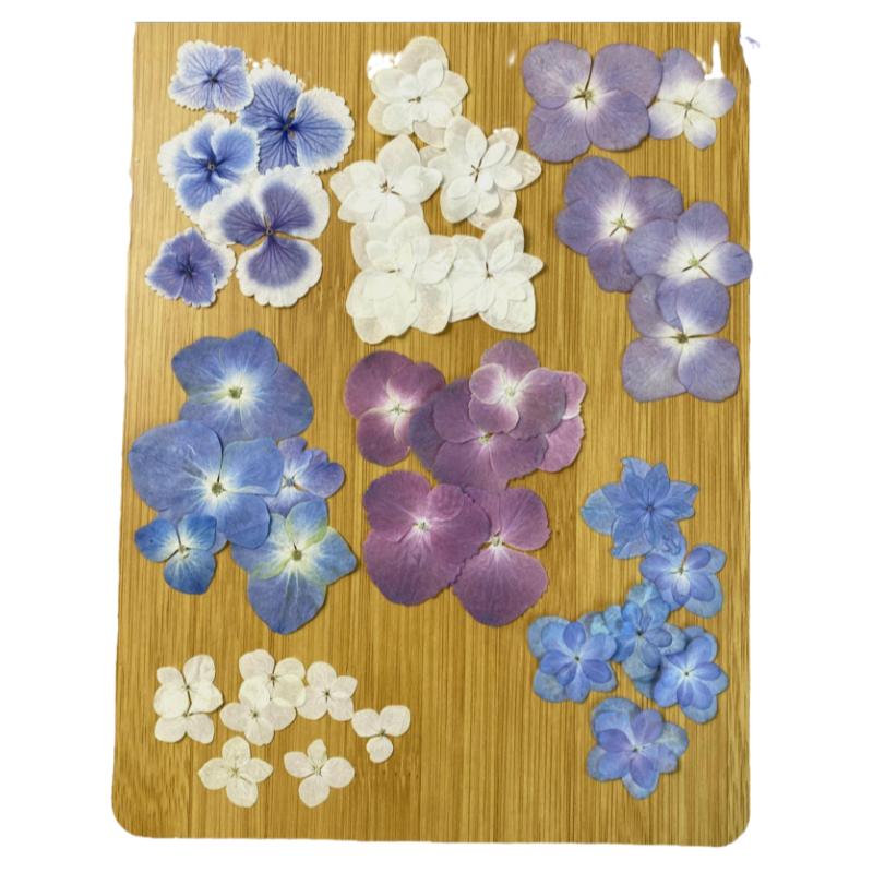 干花绣球花材料包真花押花标本压花手工diy网红妆容贴脸相框材料