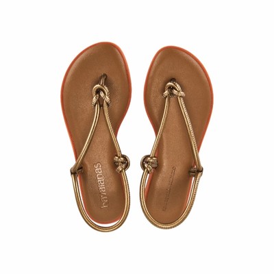 Havaianas 哈唯纳 凉鞋金属棕色夹趾人字拖鞋REVOLVE女鞋