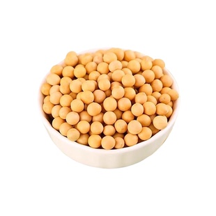 东北黄豆打豆浆专用大豆新货农家自种五谷杂粮豆子发豆芽非转基因