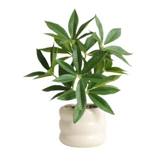 北欧仿真植物盆栽摆件客厅桌面盆景绿植室内装饰假花仿真花摆设花