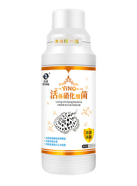 壹诺硝化细菌龙鱼特级水质