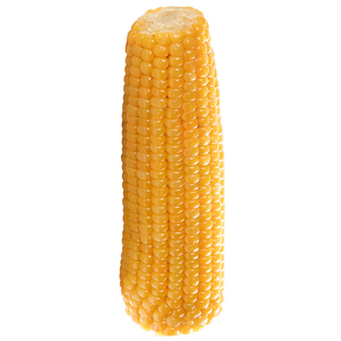 绿牧山2025年新鲜采摘新鲜香甜软糯粘黏东北特产真空装玉米