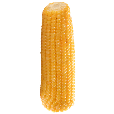 绿牧山常温黑龙江黄金玉米带种植