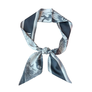 适用D家包包丝巾绑包丝带长条丝巾女2025新款系脖高级感小领巾