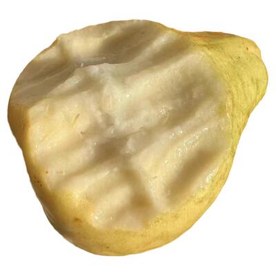 现货速发软糯白芭乐公认美白水果