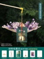 Лодка фиолетового звездного дракона