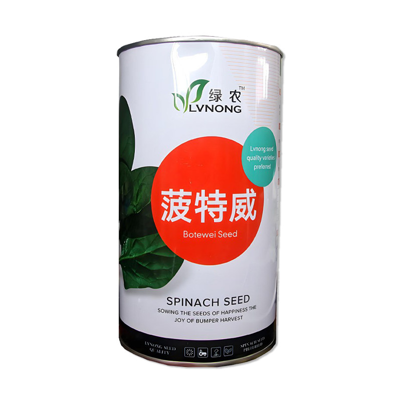 绿农菠特威菠菜种子蔬菜种子