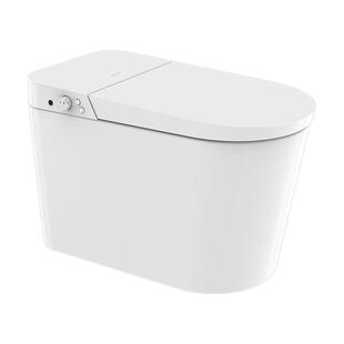 帝王洁具智能马桶家用坐便器易洁即热翻盖智能马桶一体机静音冲水