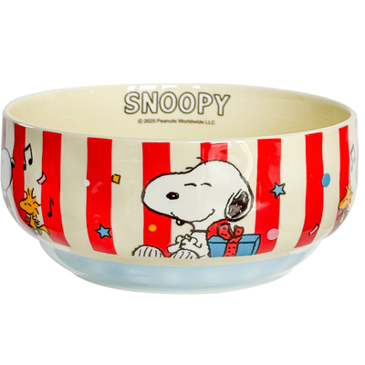 史努比面碗家用新款高颜值泡面碗