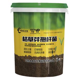 木鱼石水溶肥枯草芽孢菌杆菌生根壮苗枯黄萎白粉专用桶装肥冲施肥